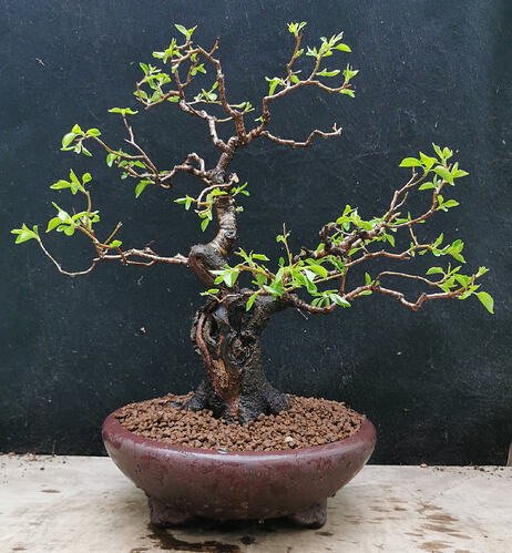 2026-03-10-15-53-03-242