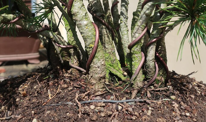 pin flexible 2025 06 11 (6)