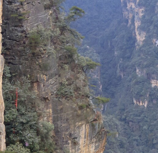 zhangjiajie crop