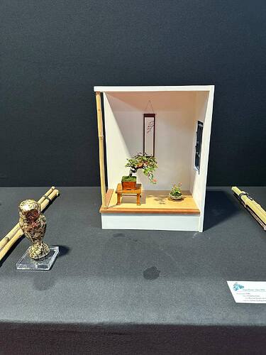 550540136_1420229460110701_545914017738230004_n