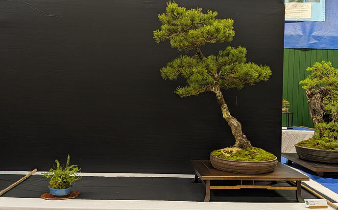 PXL_20260301_103436445