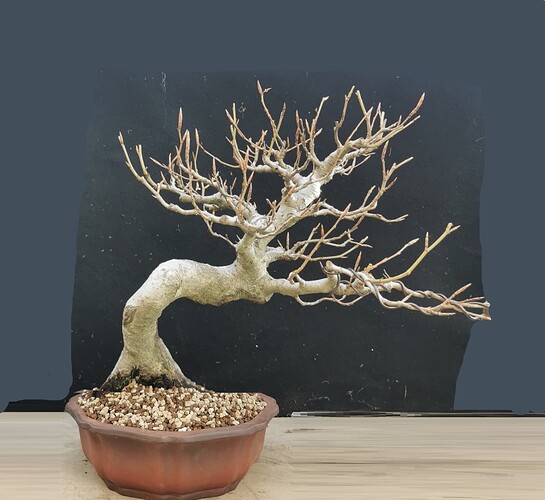 ___________DSCN132virt2