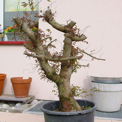 01_avril2003