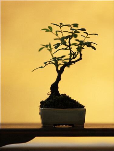 2025.05.25(36)copie1