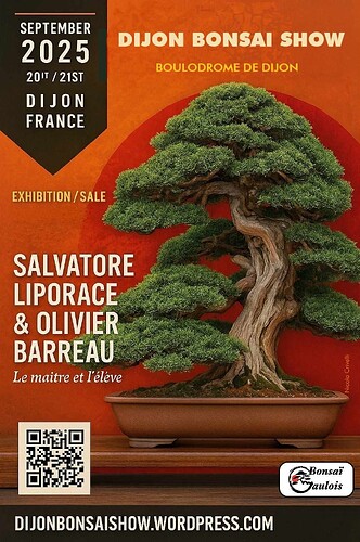 DBS25-Affiche2