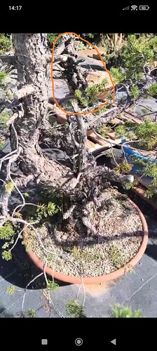 8102be46fe39f3e7f9fabedf92add20eb72f5c60