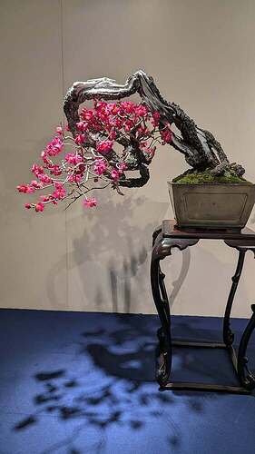 17707994185719015878252120220201