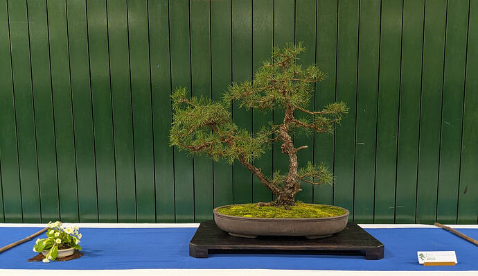 PXL_20260301_103521835