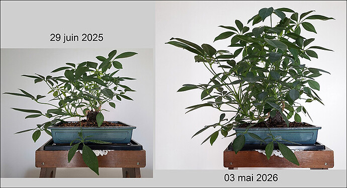 2026.05.03(montage-2025-2026)1a