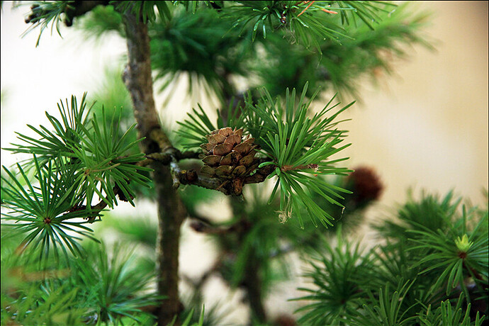 2025.05.24(77)copie1