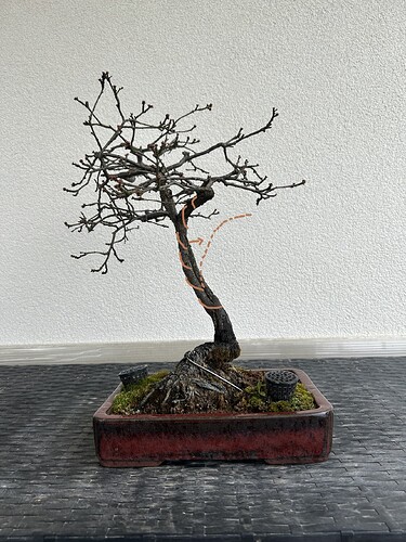 8d32cf50e45ee7bfc00bb0c3ca297117c410bc7cvirt