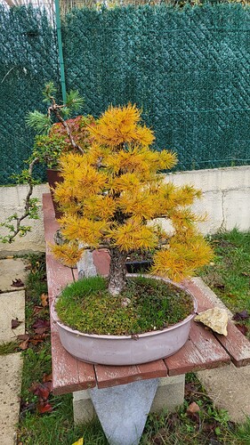 20251111_111237_resized