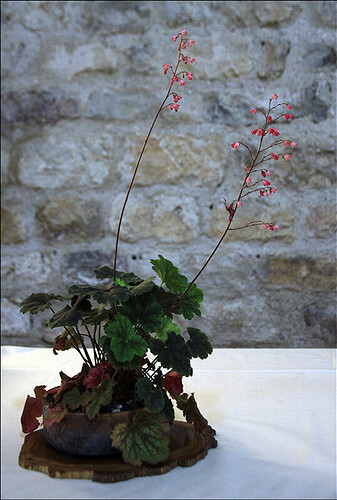 2025.05.24(82)copie1