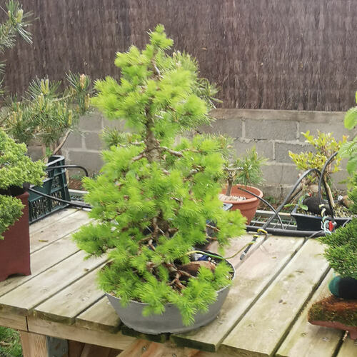 photo_1762643427369