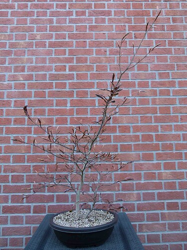 P1180488