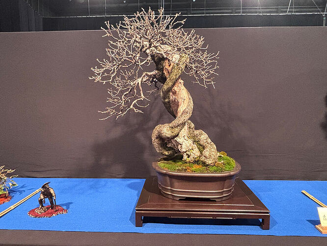 d0e6b4618f8d59fa39a3a8053a50bca77cd62915_2_999x750