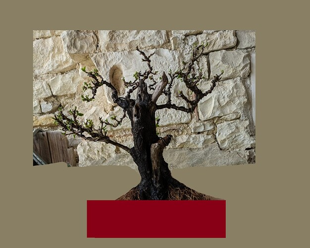 ___________DSCN01-1virt4