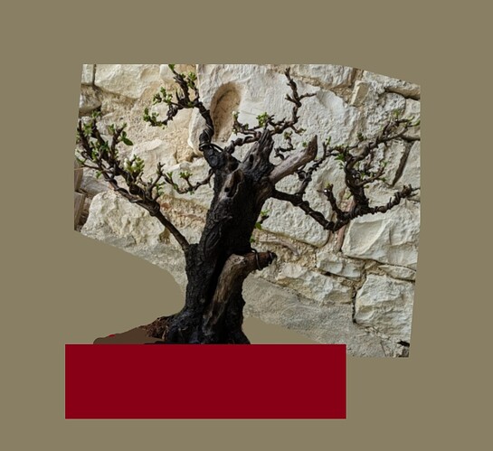 ___________DSCN01-1virt10