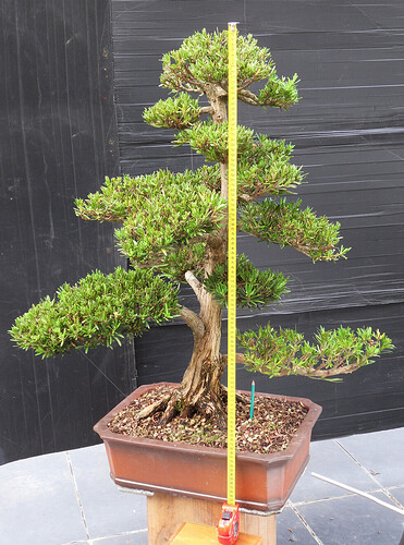 Capture d’écran 2026-01-05 à 16.42.13