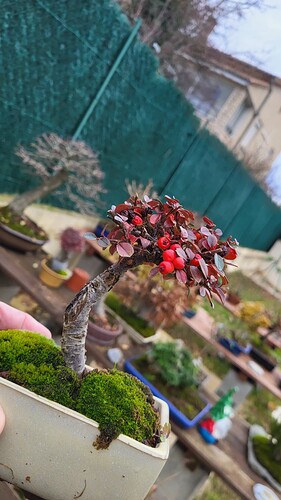 20251206_120659_resized