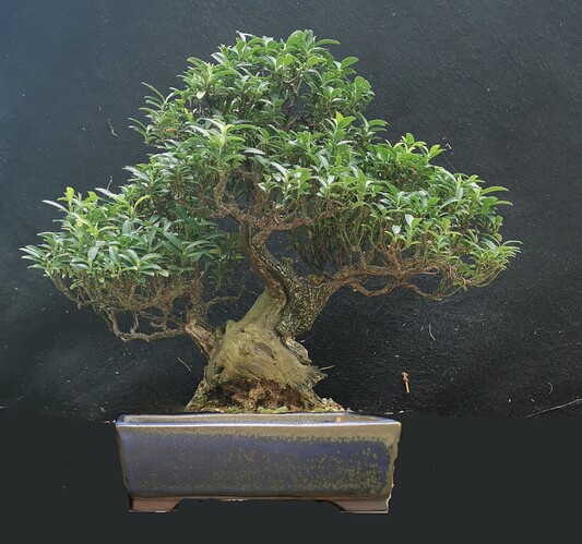 2025-02-09-21-04-42-476