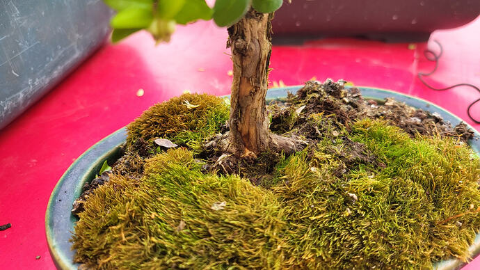 20260420_154320_resized