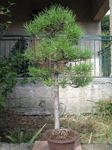 481691578_1545032776443619_9173133032648756085_n