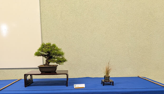 PXL_20260301_103350892.MP