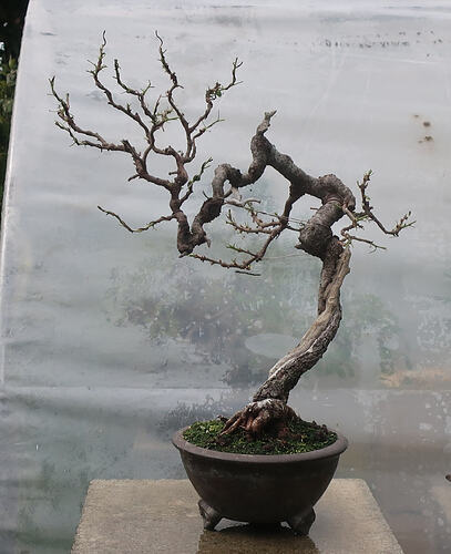 ste lucie 2026 05 13 (2)