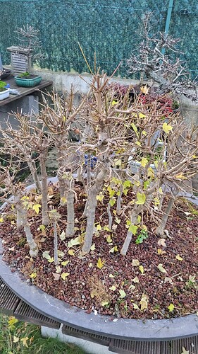 20251207_162814_resized