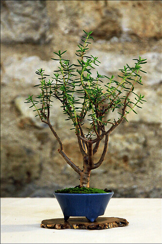 2025.05.24(92)copie1