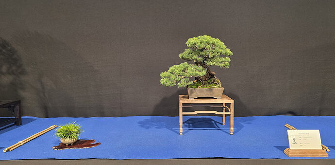 20260228_160326 Copie