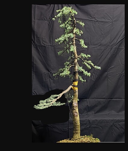 ___________DSCN01-1virt