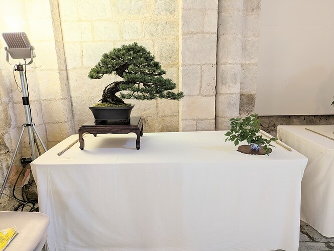 PXL_20250525_163945889~2