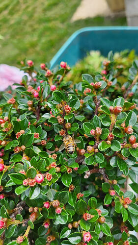 20260420_160955_resized