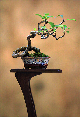 2025.05.25(22)copie1