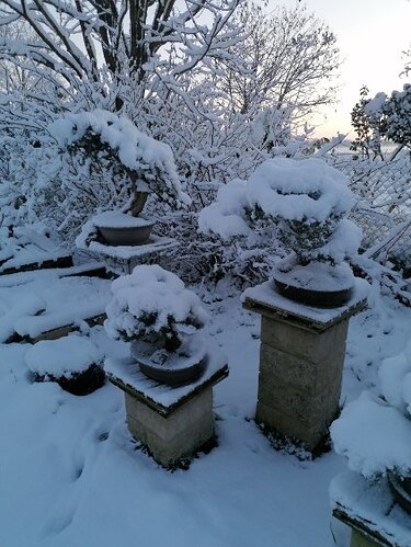 image0000061
