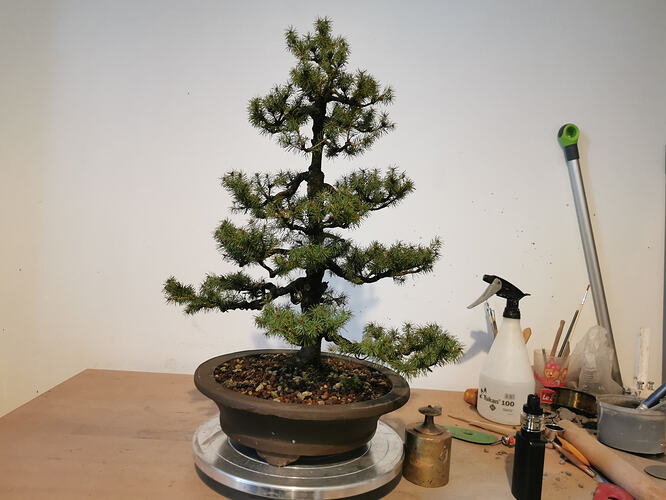 photo_1778761860216