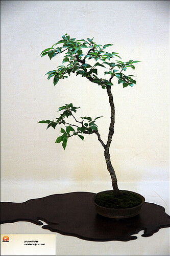 2025.05.24(42)copie1