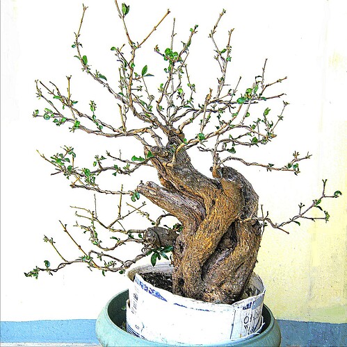 59a
