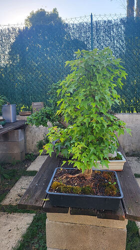 20260420_190315_resized