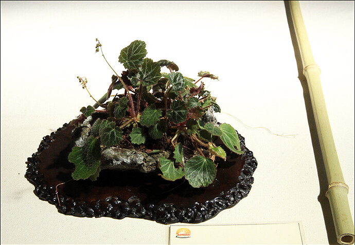 2025.05.24(53)copie1