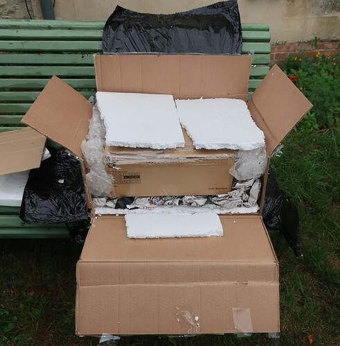 2025 07 23 Cotinus coggygria (3)