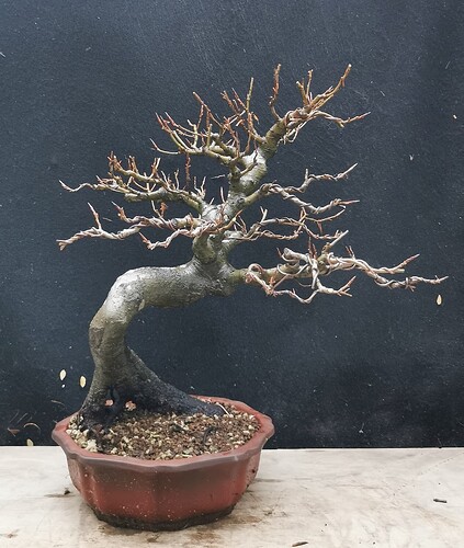 2025-12-08-16-36-10-702