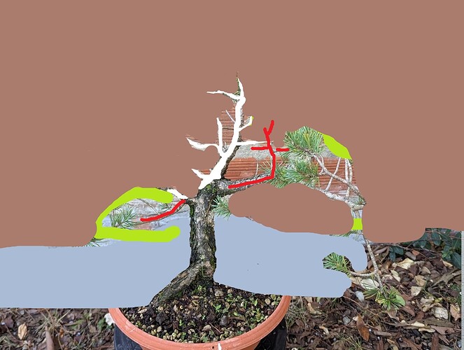 ___________DSCN01virt2