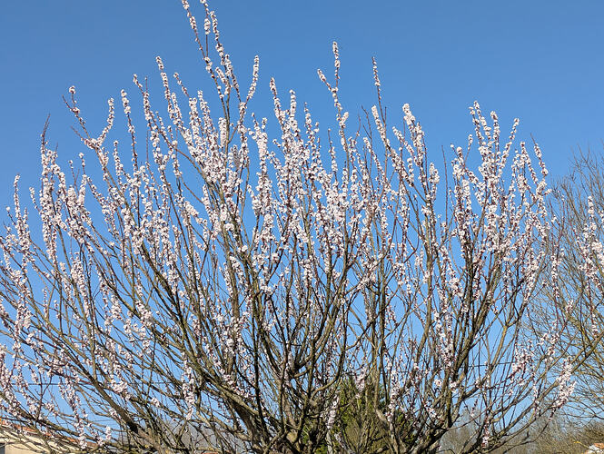 PXL_20260225_104522814