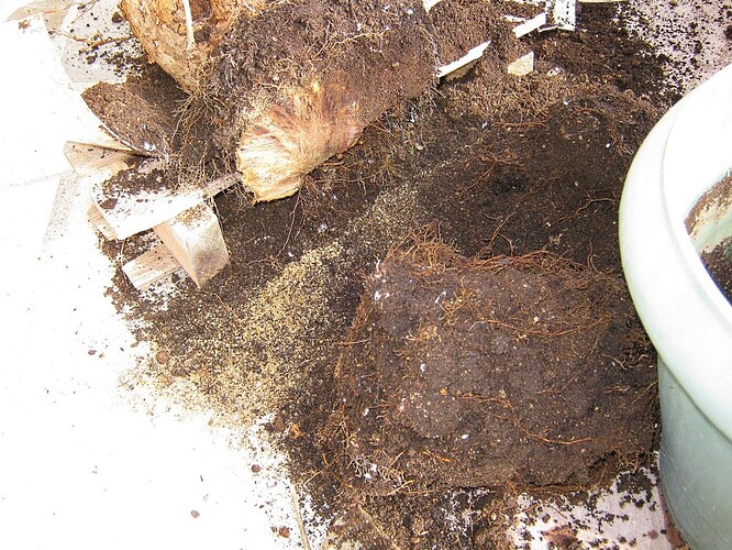85 0a