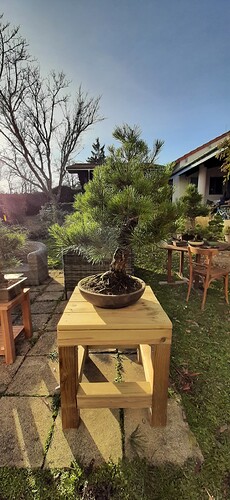 1ebce4bed81ef946c3e27842405b4182b7226aef