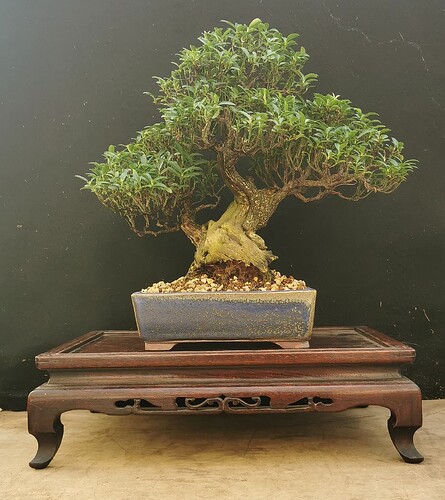 2025-02-11-14-46-44-922