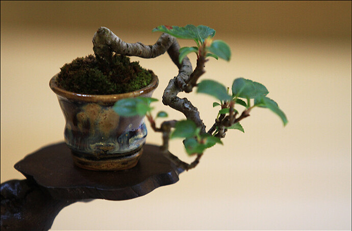 2025.05.25(49)copie1